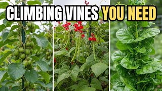 Top 10 Perennial Edible Climbing Vines for Small Vertical Garden.