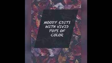 MPthecomebackid Moody Autumn Lightroom Presets Promo Video