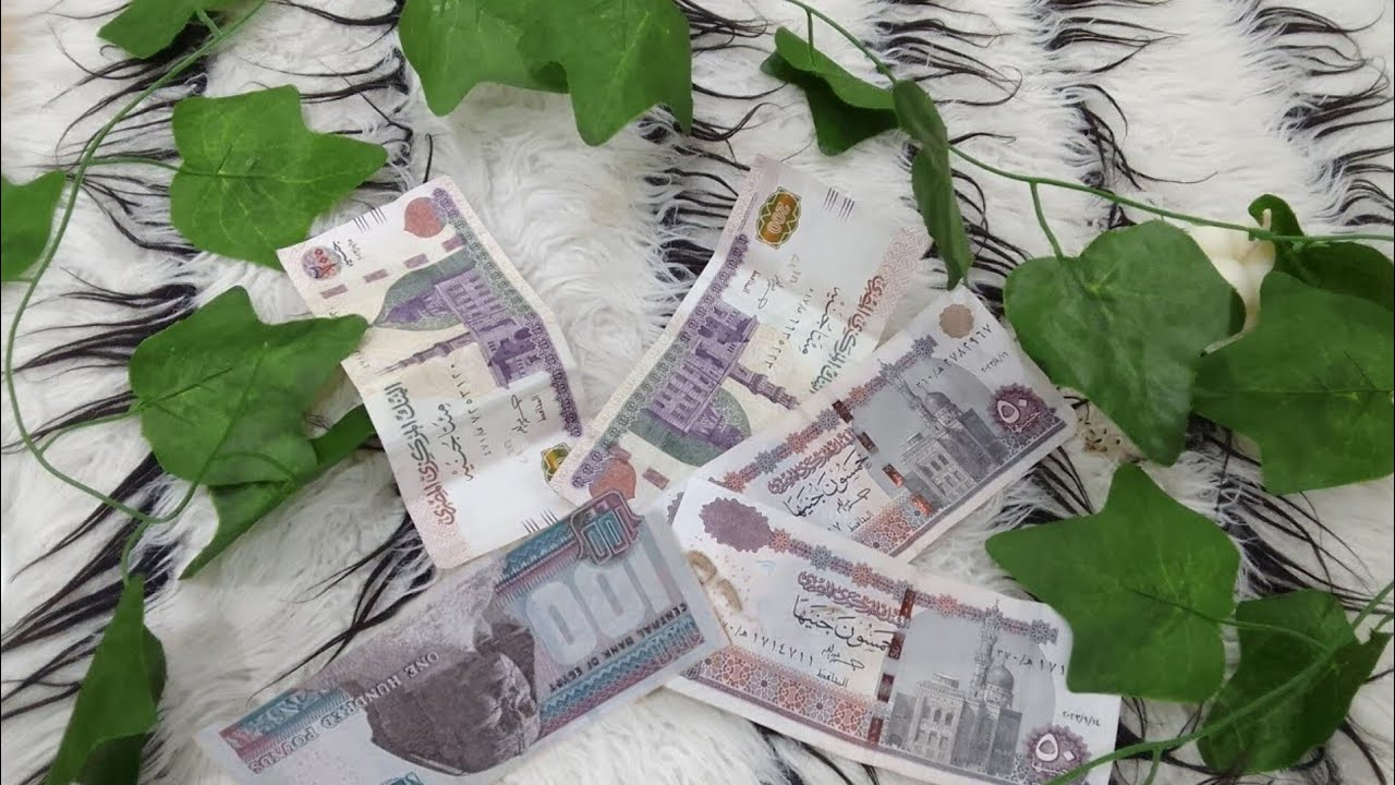 #ميزانيه اسبوعيه 600 جنيه🌿 فيها كل ما يحتاجه البيت من لحوم لحضار وفاكهه وحزين👌🏼ميزانيه اقتصاديه