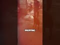 Dog Playing with Firecrackers: Chaos unleashed !