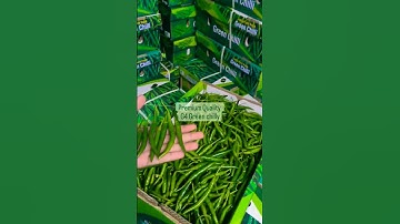 🛳Export G4 Green chilly to Dubai With SS Mariner International Pvt.Ltd All types of export supply