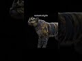 Что-то с чем-то:} #вилдкрафт #wildcraft #animation #ютубнежрикачество