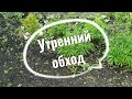 Моё хозяйство в запущении!  Я в ужасе от предстоящей работы.