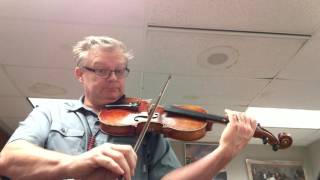Treasure Quest Viola part.