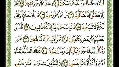 سورة القلم 68 - 114 شيرزاد عبد الرحمن طاهر - قراءة مرتلة