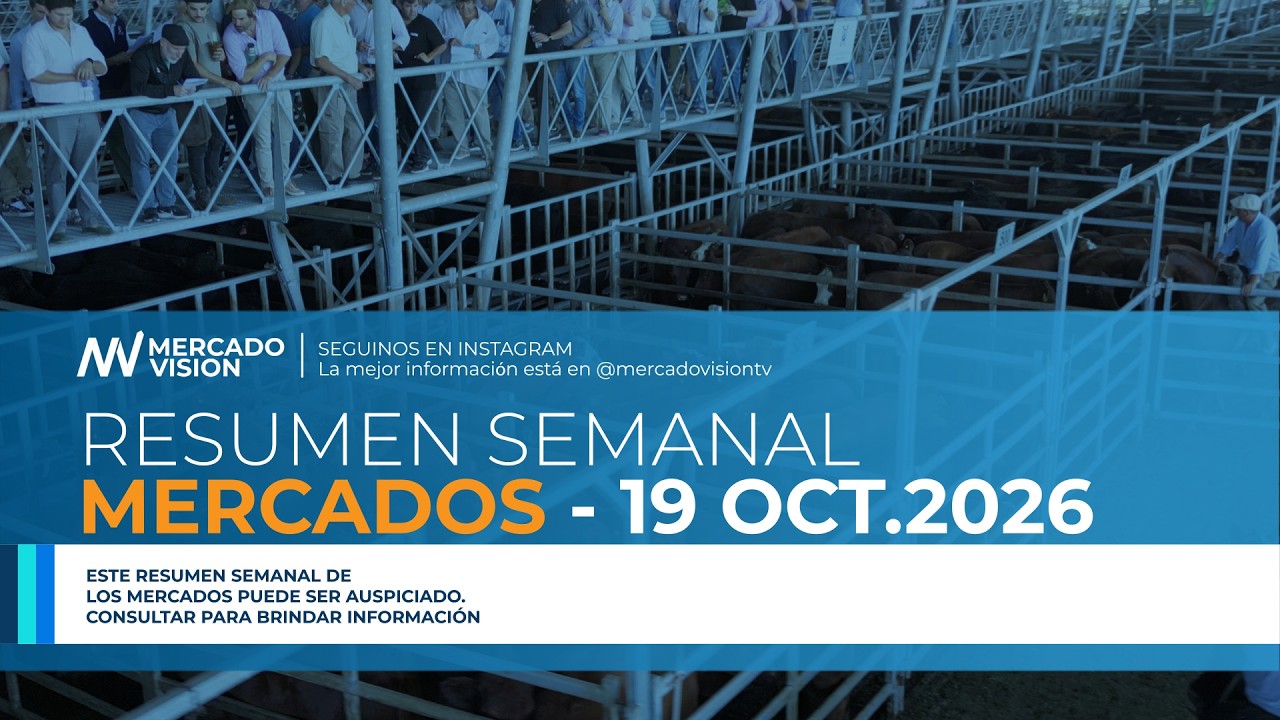 📊💰 Resumen Semanal de los Mercados | 12 al 17 de OCTUBRE 2026
