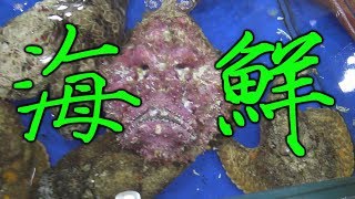 картинка: Элитный ресторан Гуанчжоу. Как отдыхают не бедные люди.