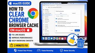 How to Clear Chrome Browser Cache on macOS | Fix Browser & Website Issues