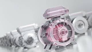 ABB IEC Low Voltage Motors