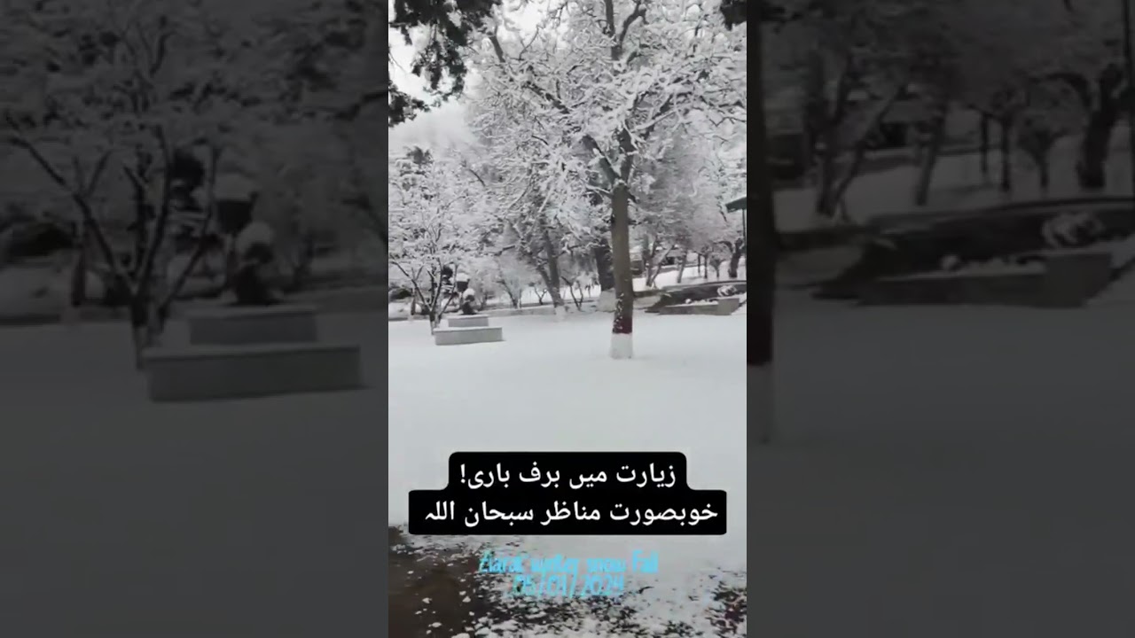 Ziarat m Baraf bari ke khobsurat manazir | Ziarat Quetta Balochistan Pakistan 