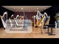 Sonnet Lap Harp by @HarpKit Soundexamples live from @ZingendeSnaarHarpen