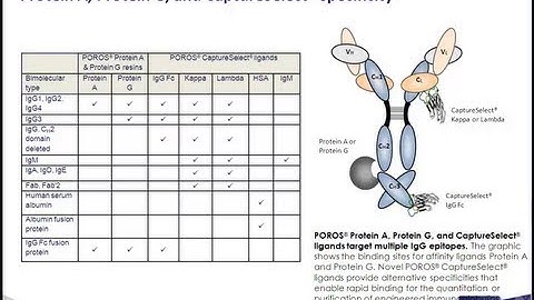POROS® Affinity Columns