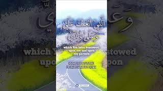 سورة الأحقاف الآية ١٥ القارئ إسلام صبحي