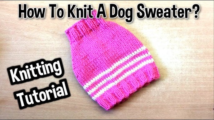 How to make a seamless dog sweater: A step-by-step knitting