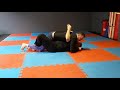 Two Sneaky Submissions from Lockdown Half Guard Bottom