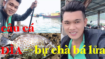 câu cá GIÒ - cá DÌA tại cảng ĐẠI LÃNH nhộn nhịp ghe ra vào cập bến