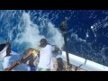 2016 Bermuda Sea Horse | Team Anita Jean | Blue Marlin