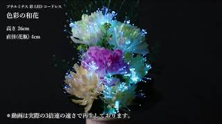 ルミナス 色彩の和花  / Japanese Obon lantern (Lighting Buddhist Flower)