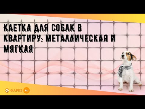 Клетка для собак в квартиру: металлическая и мягкая