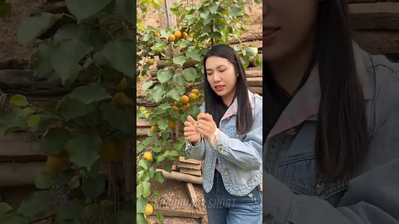 Chinese Jelly Fruit 🍓🍑 || Chinese video || Homemade 