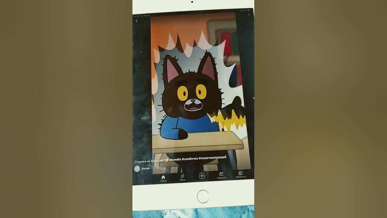 кошечка мурсдей - YouTube