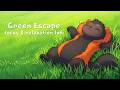 Forget the noise, embrace the green 🌿 | Focus &amp; Relaxation LoFi