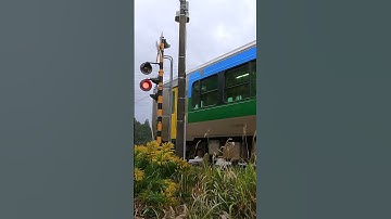 Thumbnail of Railroad Crossing in Japan #shorts