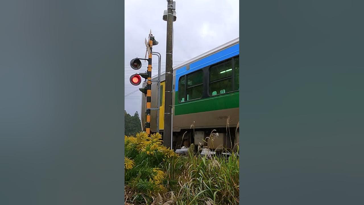 Railroad Crossing in Japan #shorts