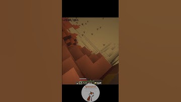 erm... WTF!? #minecraft