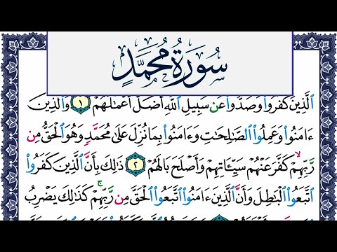 سورة محمد مكتوبة محمد جبريل Surah Muhammad Mohammd Jpreel برواية حفص عن عاصم