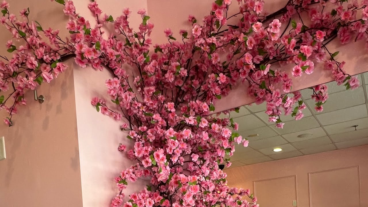 COMO MONTAR UMA ÁRVORE CEREJEIRA