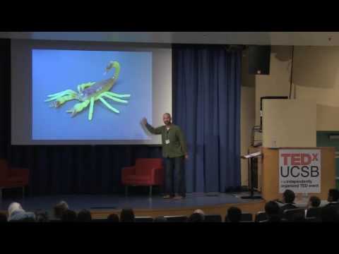 The Diversity Of Learning | Jason Duque | TEDxUCSB