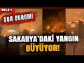 Sakarya'da orman yangını! 1 köy alevlere teslim; 2 mahalle tahliye edildi!