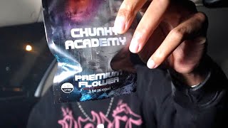 YOU NEED TO TRY CHUNKY ACADEMY!! 📚🎓