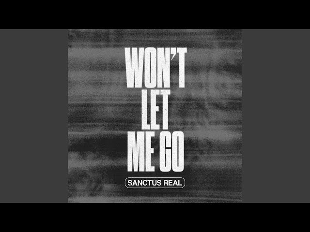 Sanctus Real - Won't Let Me Go