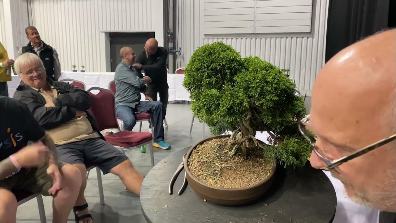 Shohin Bonsai Masterclass at The Bonsai Show Live YouTube