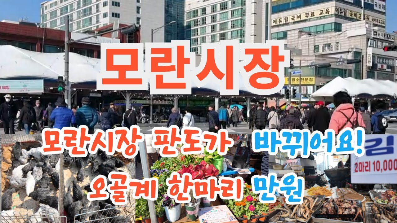 봄에 손님들이 한쪽으로 몰리고 있어요/ 모란시장 ~^ 힐링여행