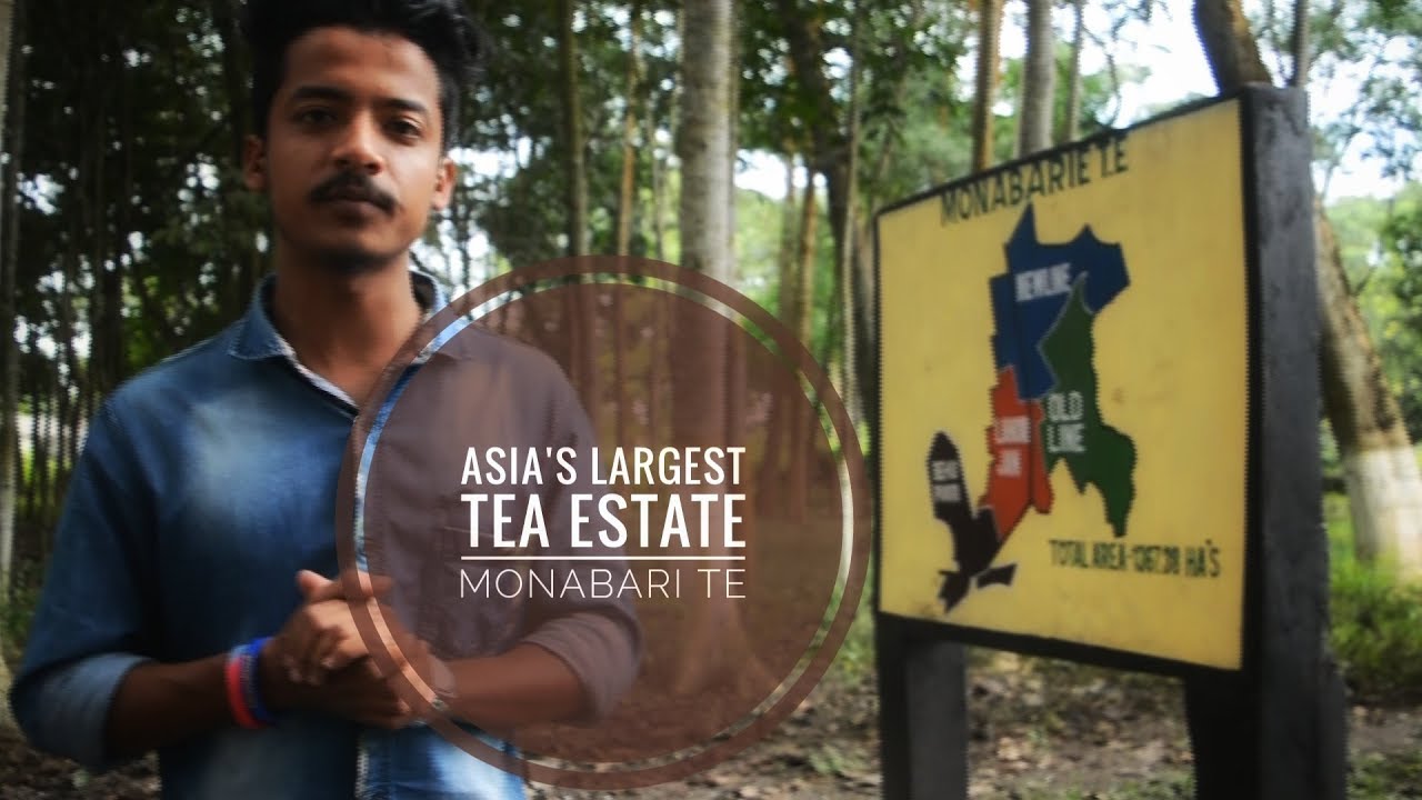 MONABARI TEA ESTATE LARGEST TEA ESTATE OF ASIA YouTube monabari-tea-estate-largest-tea-estate-of-asia-youtube