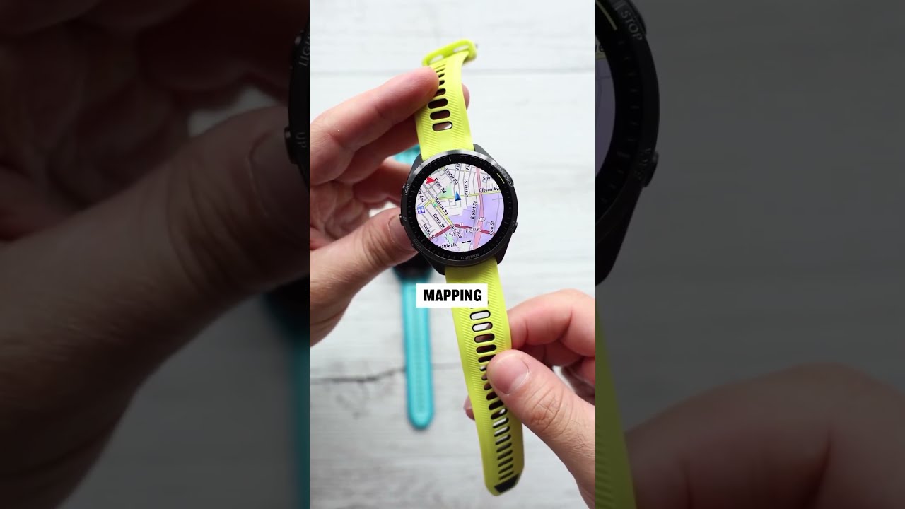  Forerunner 165 965