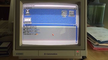 Amiga 600 NTSC vs PAL screen test