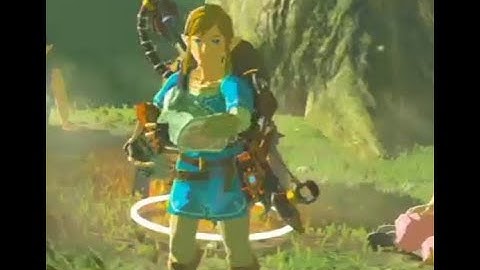 BOTW - Hold Prompt Entanglement Glitch Tutorial