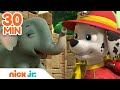 PAW Patrol Amazing Rescues w/ Marshall! | 30 Minute Compilation | Nick Jr.