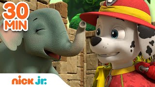Paw Patrol Amazing Rescues W Marshall 30 Minute Compilation Nick Jr.