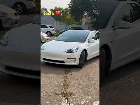 Tesla cars are