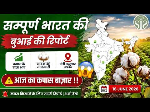 🚨 सम्पूर्ण भारत की बुआई रिपोर्ट 2026-27😱आज का कपास बाज़ार #youtube