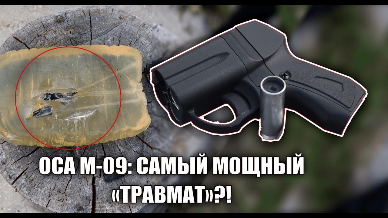 Оса м авто жлобин