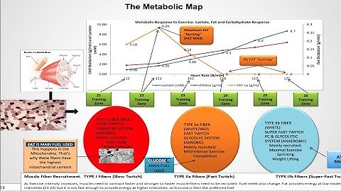 Describing Training Zones- Dr. Inigo San Millan