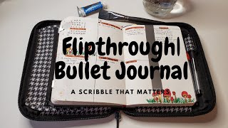 Scribbles That Matter B6  | Bullet Journal Flipthrough