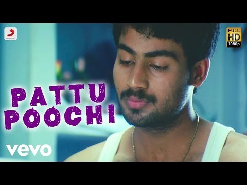 Pattu Poochi Song Lyrics From Ananda Thandavam