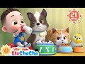Bạn Thú Cưng Của Lia & Chacha 🐱